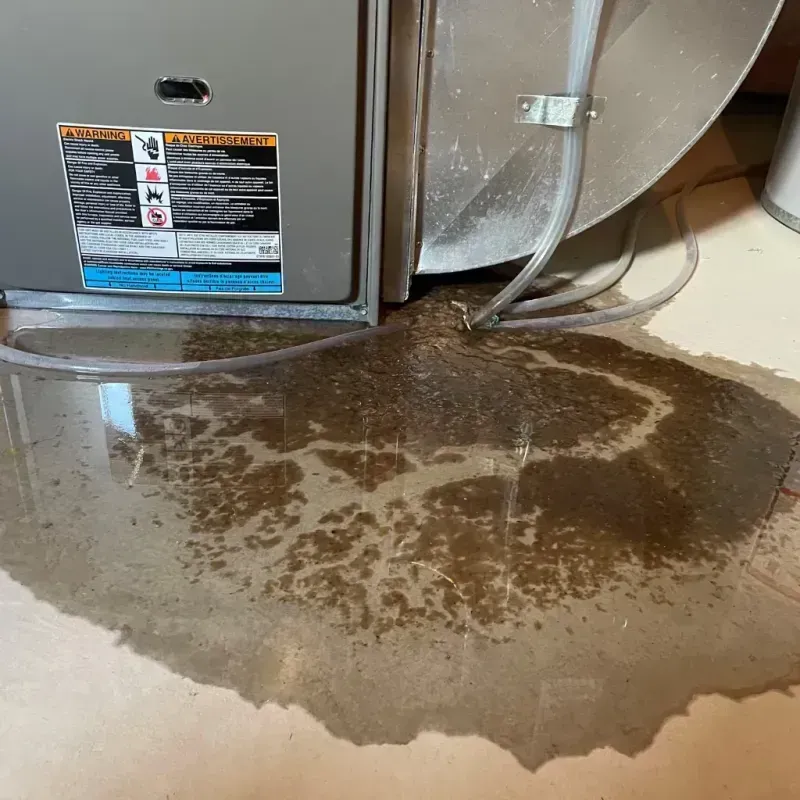 Appliance Leak Cleanup in Montgomery, OH